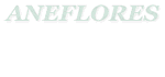 Enviar e-mail - Aneflores
